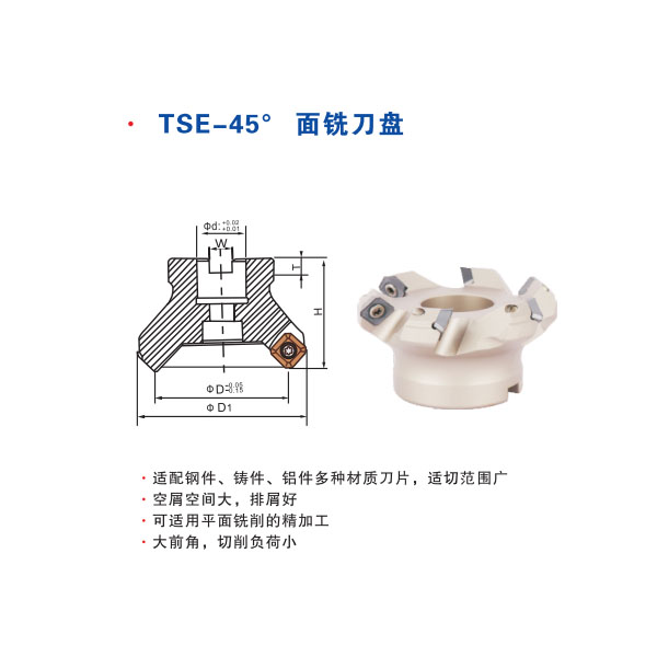 TSE-45°面銑刀盤.jpg